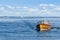 Classic wooden motorboat Stockholm archipelago