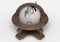 Classic Wooden World Globe