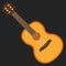 Classical acoustic flat vector guitar.