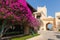 Classical Arabic style arch and bushes with pink flowers