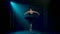 Classical ballet choreography perfoming by young beautiful graceful ballerina in black tutu. Dark swan part in