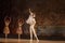 Classical ballet Giselle