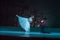 Classical ballet Giselle