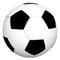 Classical Black and White 3D Soccer Ball