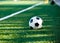 Classical black and white football ball on the green grass of the field