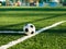 Classical black and white football ball on the green grass of the field