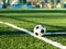 Classical black and white football ball on the green grass of the field. Soccer game, training, hobby concept