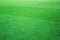 Classical football field photo. Natural green lawn