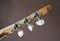 Classical guitar headstock