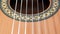 Classical guitar: strings and rosette