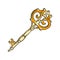 Classical Key Filigree Medieval Color Vector