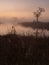 Classical marsh landscape, early morning