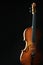 Classical music instruments violin