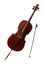 Classical musical instrument - cello