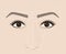 Classical shape of eyebrows. Microblaining and permanent make-up. The scheme of the correct construction.