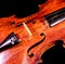 Classical shape wood vintage violin