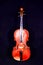 Classical shape wood vintage violin