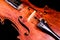 Classical shape wood vintage violin