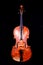 Classical shape wood vintage violin