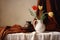 Classical still life with a earthen vase and tulips, brown curtains in the background