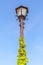 Classical street lamp pole and ivy climbing with clear blue