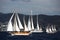 Classical, traditional wooden yacht sailing in Bodrum for Bodrum Cup