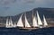 Classical, traditional wooden yacht sailing in Bodrum for Bodrum Cup