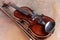 Classical violin on rusty background. Studio shot of old violin