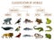 Classification of Animals. Reptiles amphibians mammals birds. Crocodile Fish Lion Whale Snake Frog. Education diagram of