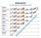 Classification of living things with biological hierarchy outline diagram