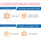 Classification of viruses. Nonenveloped viruses.