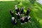 Classmates in graduation gowns throw their caps. View from above.