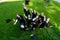 Classmates in graduation gowns throw their caps. View from above.