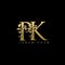 Classy Gold Leaf PK Letter Logo