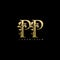 Classy Gold Leaf PP Letter Logo