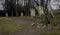 Clava Cairns standing stones