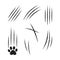 Claw cat scratch, slash vector icon, paw mark set. Animal simple illustration