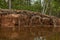 Clay bank of the river is destroyed by water during floods