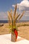 A clay ceramic vase  placed on a linen tablecloth on the sea beach...The lower parts of the vase and mug are a layer of coarse