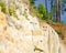 Clay cliff near the river with burrows in the form of a face and sticking out the roots of the collapsed trees of the Northern tun