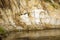 Clay cliffs near the water of the river with erosion types of terrain and exposed roots of the fallen trees in the Arctic tundra