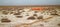 Clay desert covered with barilla (saltwort desert). Muslim cemetery in the foreground. Kazakhstan