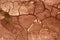 Clay dried red soil cracked texture background