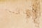 Clay eathern wall texture abstract background