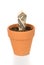 Clay flower pot and cash