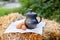 Clay jug and chicken eggs on straw in garden. Milk in clay jug. Organic product. Concept natural products, healthy food. Stilllife