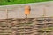 Clay jugs on wooden wicker fence. Traditional ukrainian rural decor