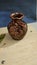 clay painting on a earthen pot by an indian woman