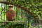 Clay pitcher pot and metal bars in colonial mexican garden