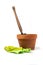 Clay plant pot with shovel and gardening gloves